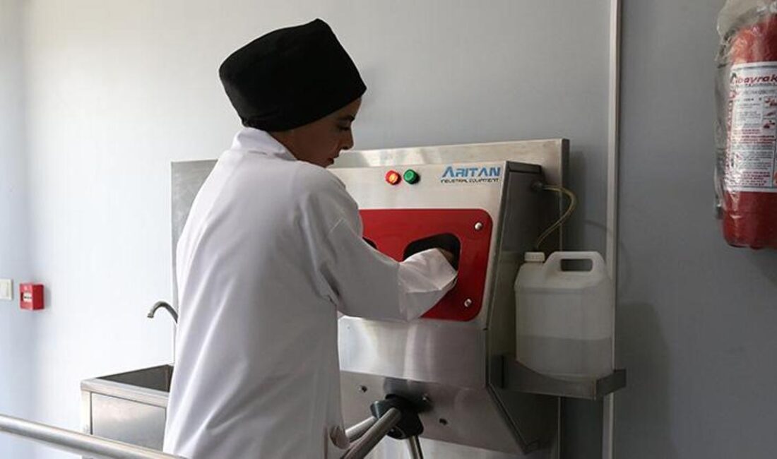 Hatay’da Deprem: Tuğçe Aslan’ın Hayatındaki Dönüm Noktası Tuğçe Aslan’ın Meslek