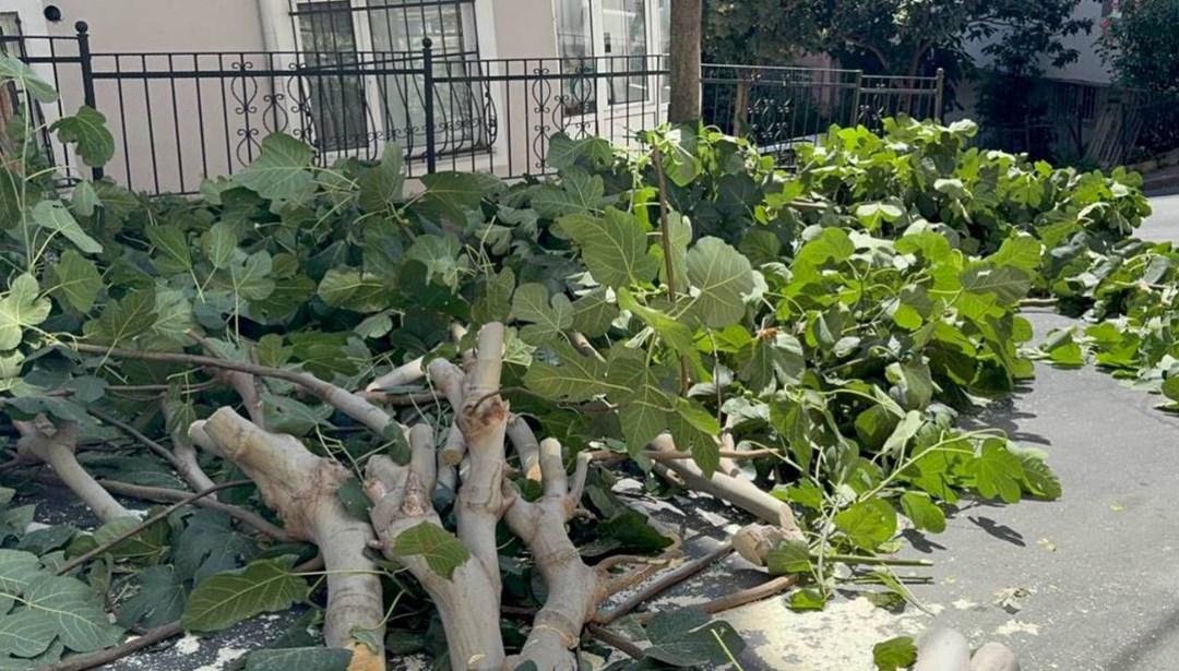 İstanbul’da Fırtına: Etkileri ve Son Gelişmeler İstanbul, son günlerde etkisini