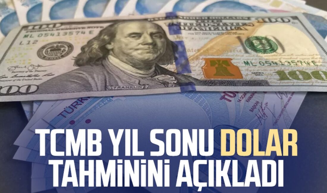 TCMB Ağustos Ayı Piyasa Katılımcıları Anketi Sonuçlarını Açıkladı Türkiye Cumhuriyet