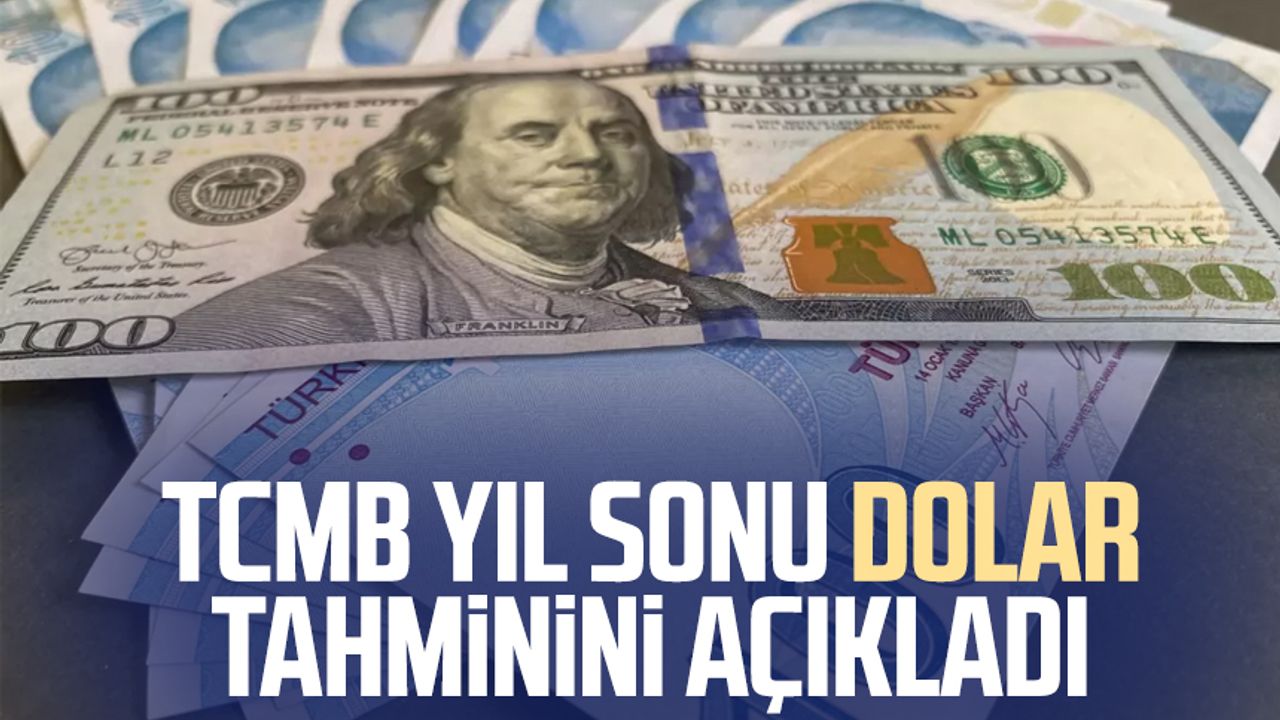 Merkez Bankasindan Egitim Vizyonuna Yonelik Dolar Tahmini Aciklamasi