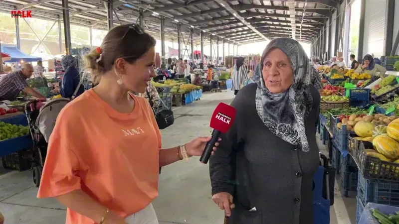 Dila Kuvat Programı
