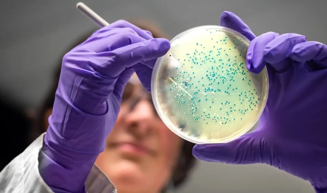 Yapay Zeka İle İcaat Edilen Yeni Antibiyotikler, Dirençli Bakterilere Karşı