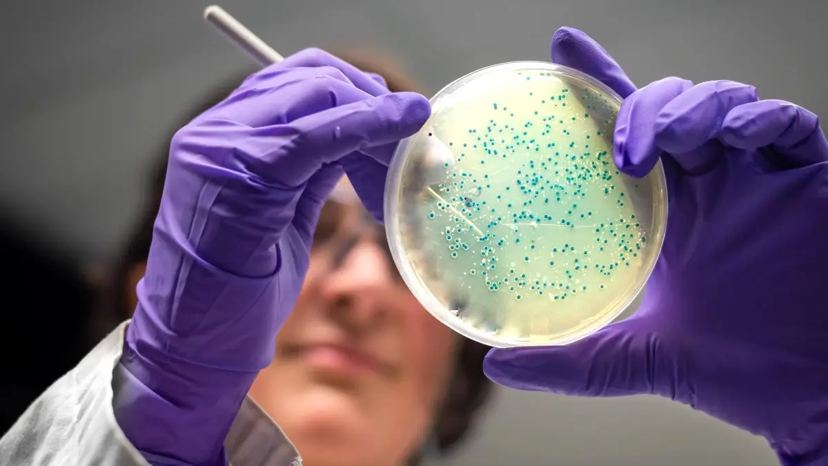 Yapay Zeka ile İki Yeni Antibiyotik Geliştirildi