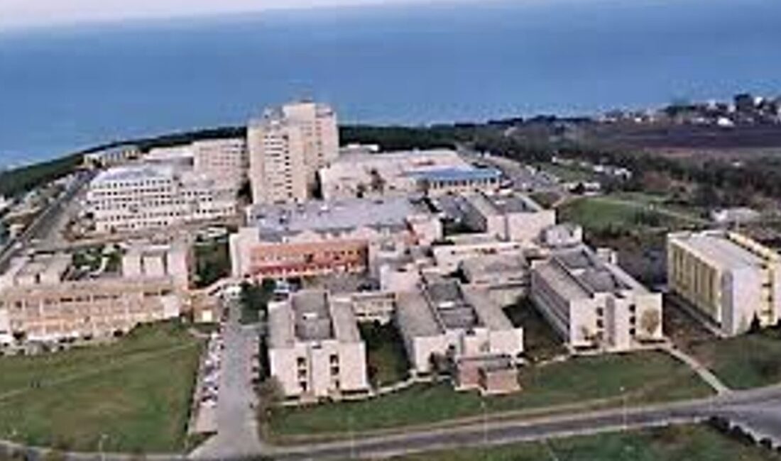 Samsun’da Öğrenci Olmanın Avantajları ve İpuçları Samsun, zengin kültürü ve