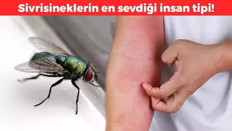 Sivrisinekların Tercih Sebepleri ve Korunma Yöntemleri Sivrisineklerin İnsanları Tercih Etme
