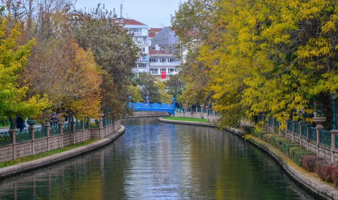Eskişehir’de üniversite Kazanan Öğrencilerin Barınma Sorunları Artıyor Eskişehir’de Yükseköğretim Kurumları