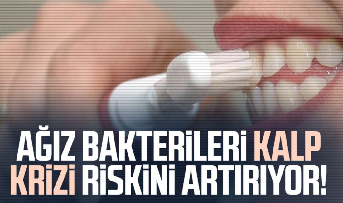 Damar Plaklarında Ağız Bakterileri: Kalp Sağlığını Tehdit Ediyor Ağız Bakterilerinin