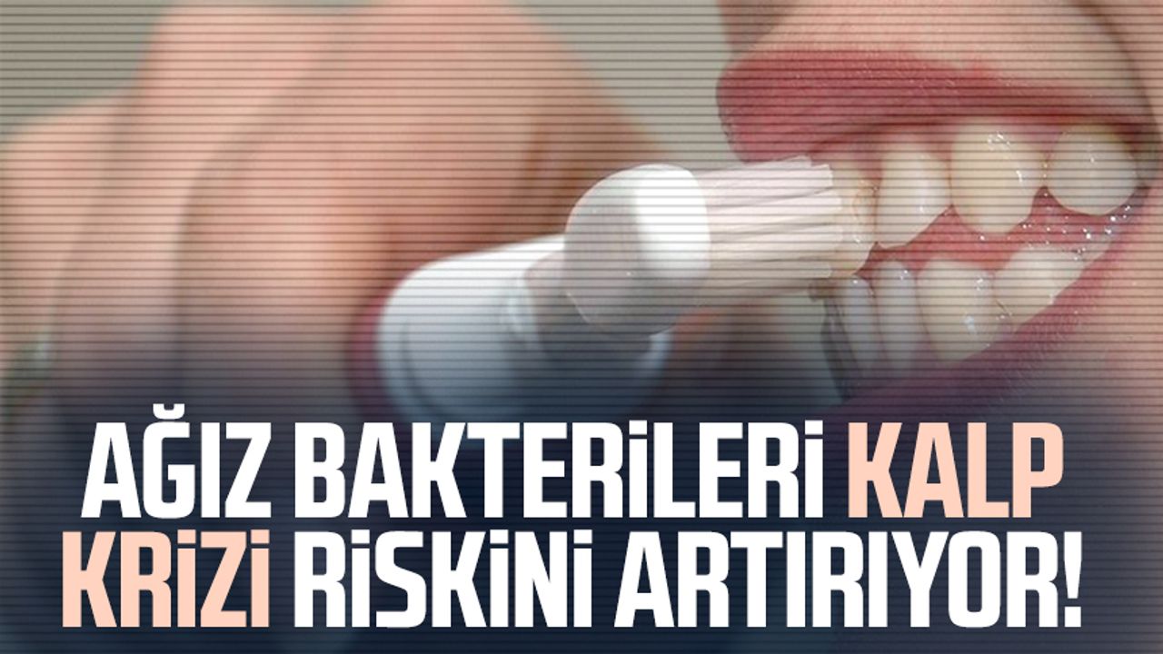 Damar Plaklarında Ağız Bakterileri: Kalp Sağlığını Tehdit Ediyor Ağız Bakterilerinin