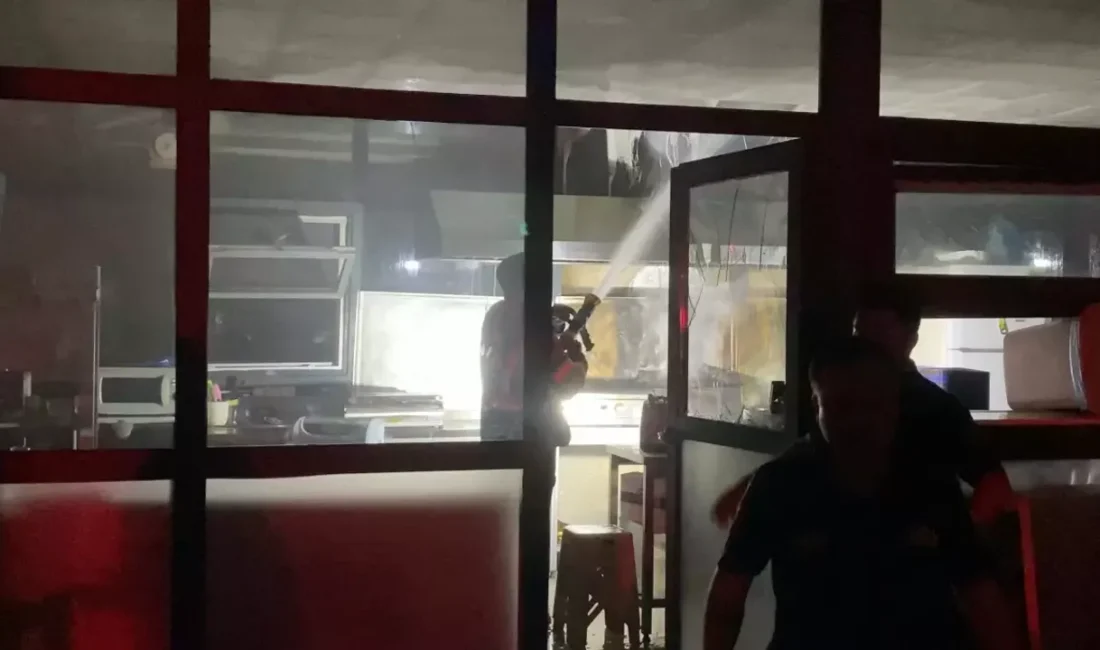 Milas’taki Yangın Aydın’a Sıçradı Yangın Olayı Hakkında Genel Bilgi Milas’ta