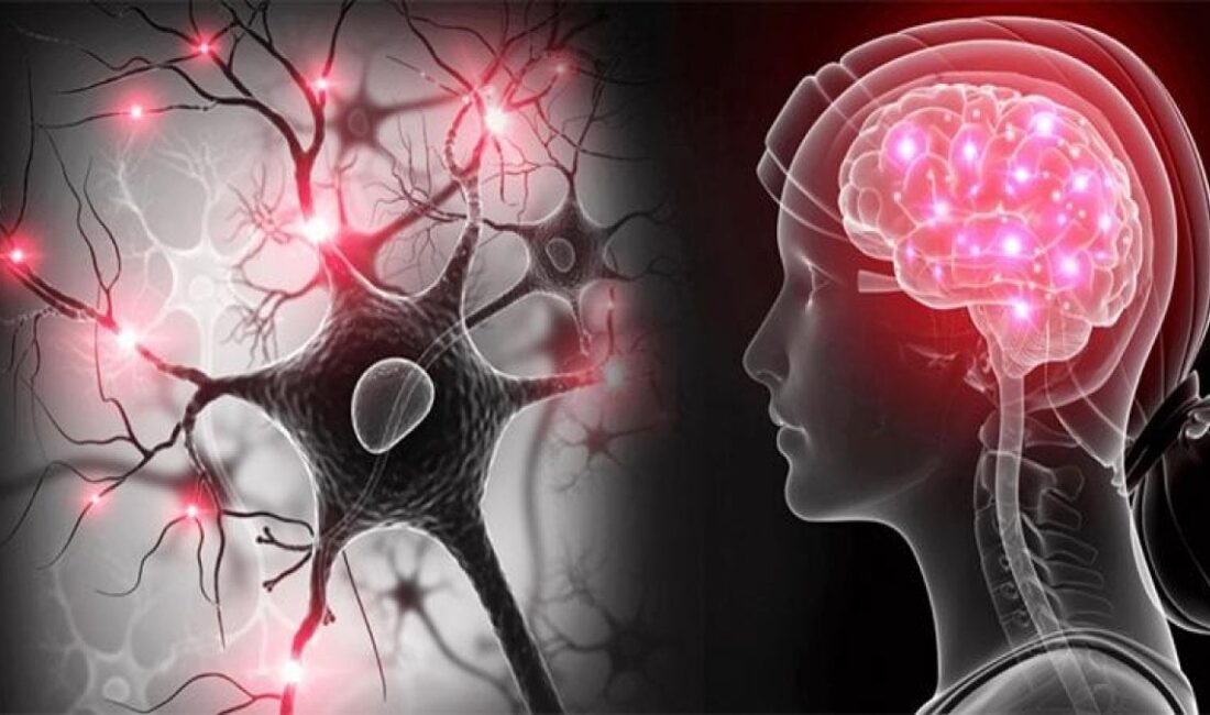Parkinson Hastalığında Oligomerik α-Sinüklein Proteininin Rolü: Yeni Bulgular Işık Tutuyor