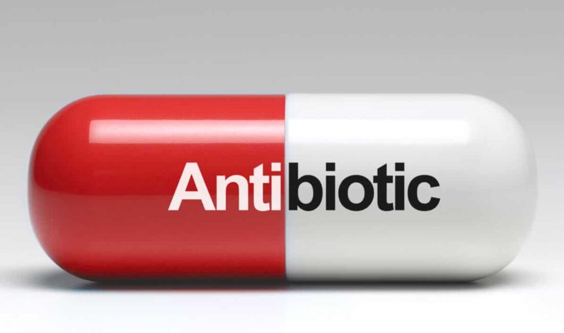 Antibiyotik Direncine Yeni Çözüm: Acıbadem Üniversitesi’nden Devrimsel Gelişme Antibiyotik direnci,