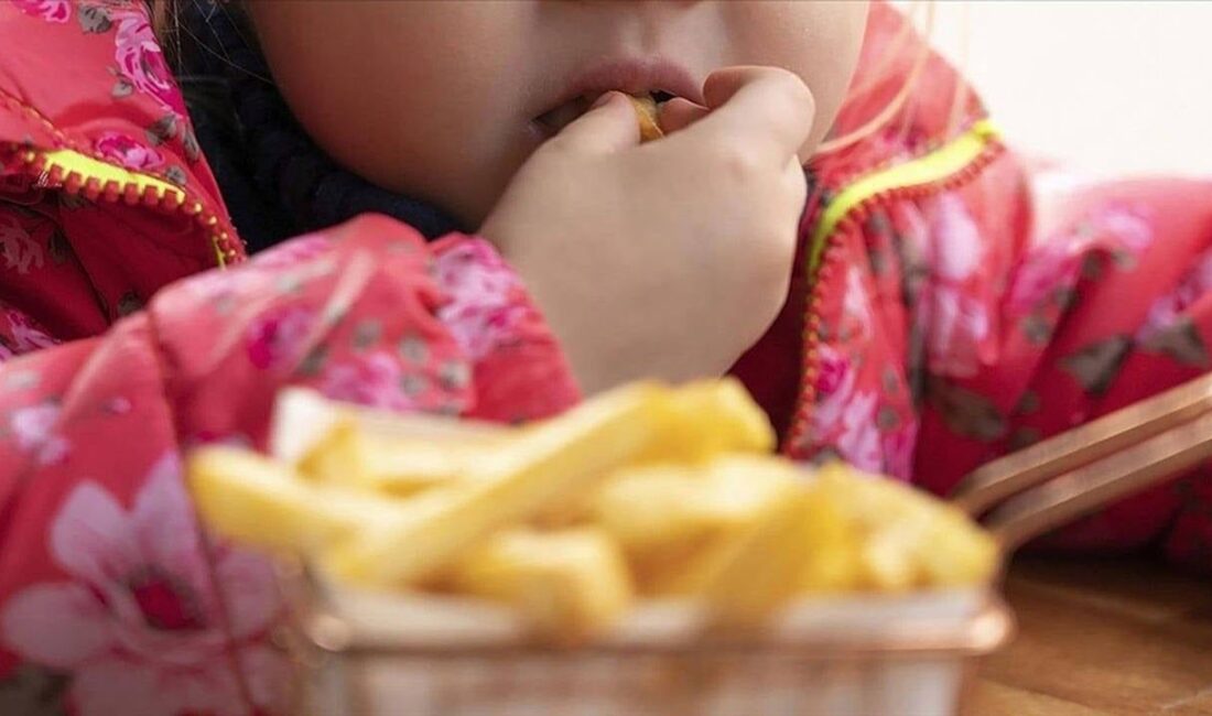 Obezite Sorunu, Küresel Çocuk Sağlığını Tehdit Ediyor Birleşmiş Milletler Çocuklara