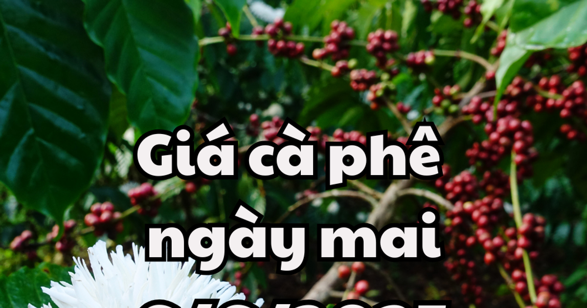 Vietnam.vn - Nền tảng quảng bá Việt Nam