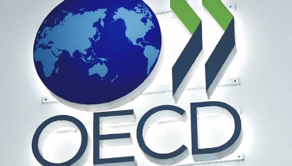 OECD 2025 Ekonomik Görünüm Raporu: Küresel Büyüme ve Türkiye’nin Tahminleri