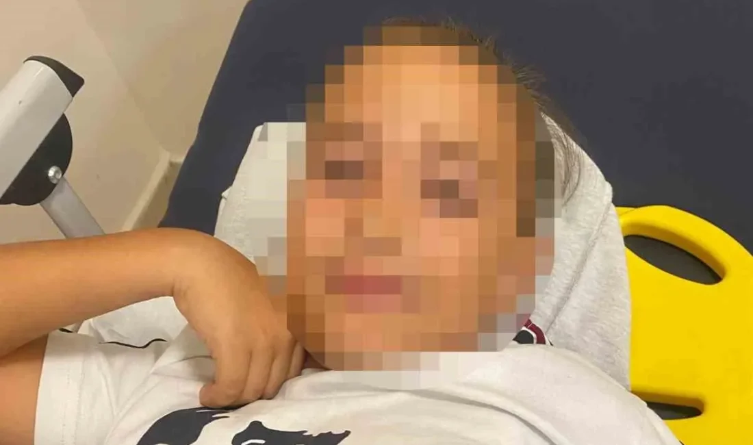 Urla’daki Okul Bahçesinde Bayrak Direği Devrildi: Öğrenci Yaralandı Olayın Gelişimi