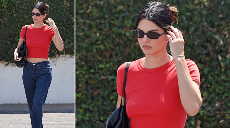 Kendall Jenner: Gösterişli Hayattan Sade Bir Hayale Dönüşüm Moda İhtirasını