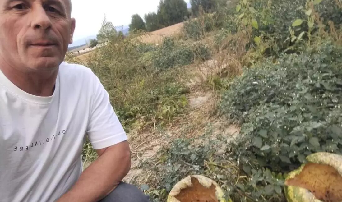 Son Dakika: Hasat Zamanında Şok Gelişme! Tarım Alanında Beklenmedik Görüntüler