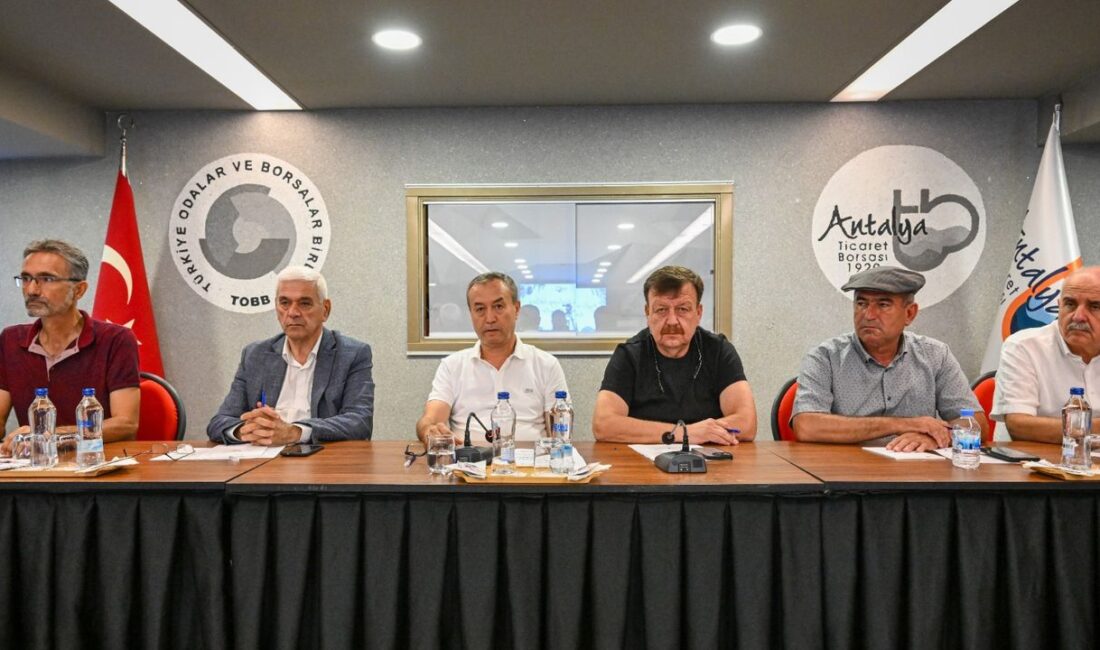 Gündem: Zeytin ve Zeytinyağı Üretiminde Kritik Gelişmeler Antalya Ticaret Borsası’nda
