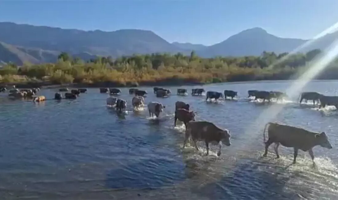 Son Dakika: Doğu Anadolu’da Kuraklık Krizi Derinleşiyor H2: Karasu Nehri’nde