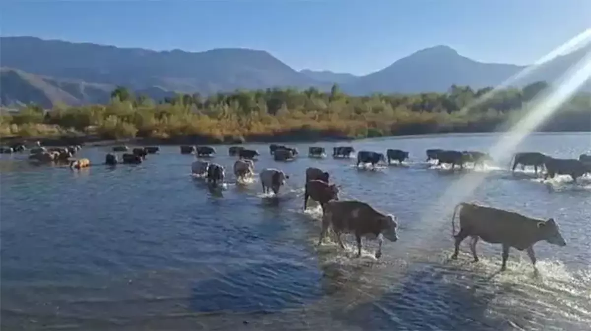 Son Dakika: Doğu Anadolu’da Kuraklık Krizi Derinleşiyor H2: Karasu Nehri’nde