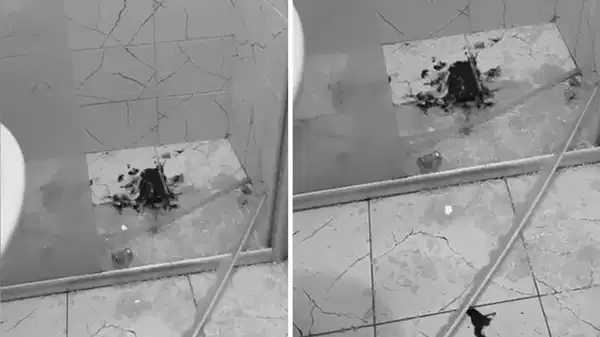 Artvin’deki Kız Öğrenci Yurdunda Cam Patlaması Üzerine Tepkiler Yükseliyor Yurt