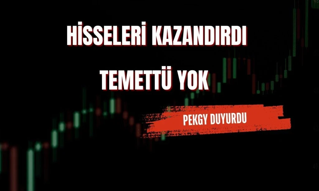Faiz ve Yatırım İlişkisi: Peker Gayrimenkul’ün Zarar Açıklaması Peker Gayrimenkul