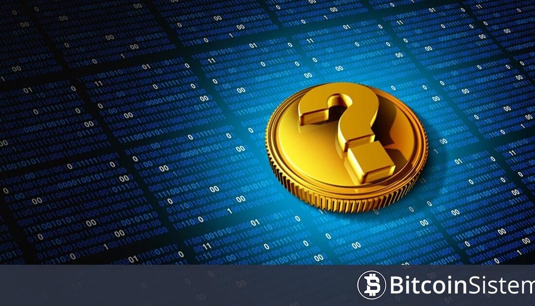 kripto Para Geliştirici Faaliyetleri: Ethereum, Cardano ve Hedera Zirvede Son
