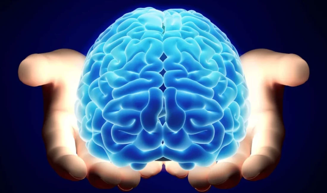 TCE Maruziyeti ve Parkinson Hastalığı: Sanayi Bölgelerindeki Tehlike Dopamin Üreten