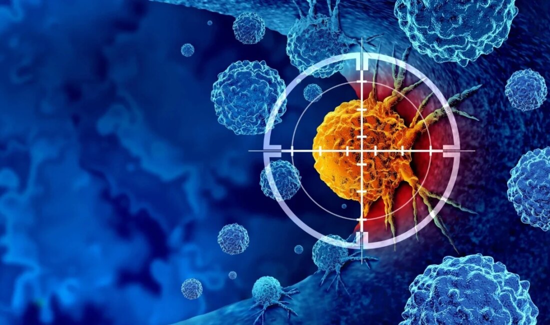 Johns Hopkins’ten Kanserle Mücadelede Yeni Yaklaşımlar: "Soğuk" Tümörleri "Sıcak" Hale