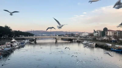 Hava Durumu: Bugünkü Tahminler ve Beklentiler Genel Bakış Bugün, hava