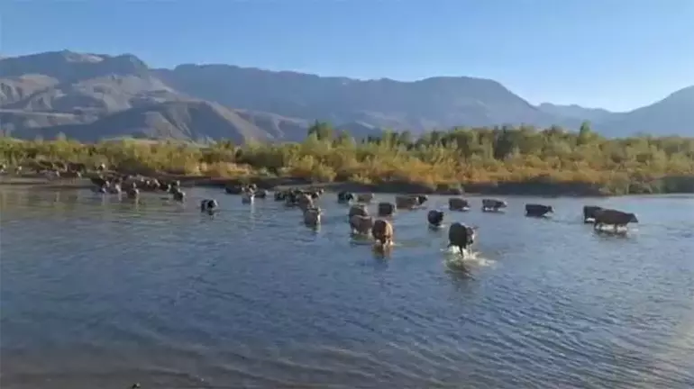Karasu Nehri'nde Su Seviyeleri
