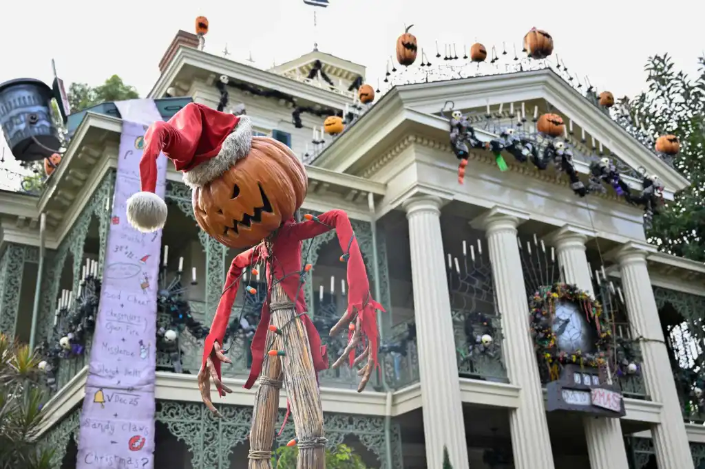 Disneyland’de Kalp Krizi: Bir Ziyaretçi Hayatını Kaybetti Olayın Detayları 6