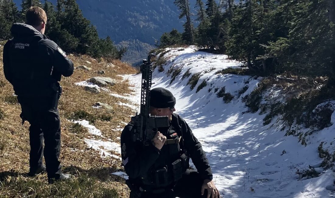 Grizzly Ayısı İki Dağcıyı Saldırdı: Kanada’da Tehlikeli Bir Karşılaşma Olayın