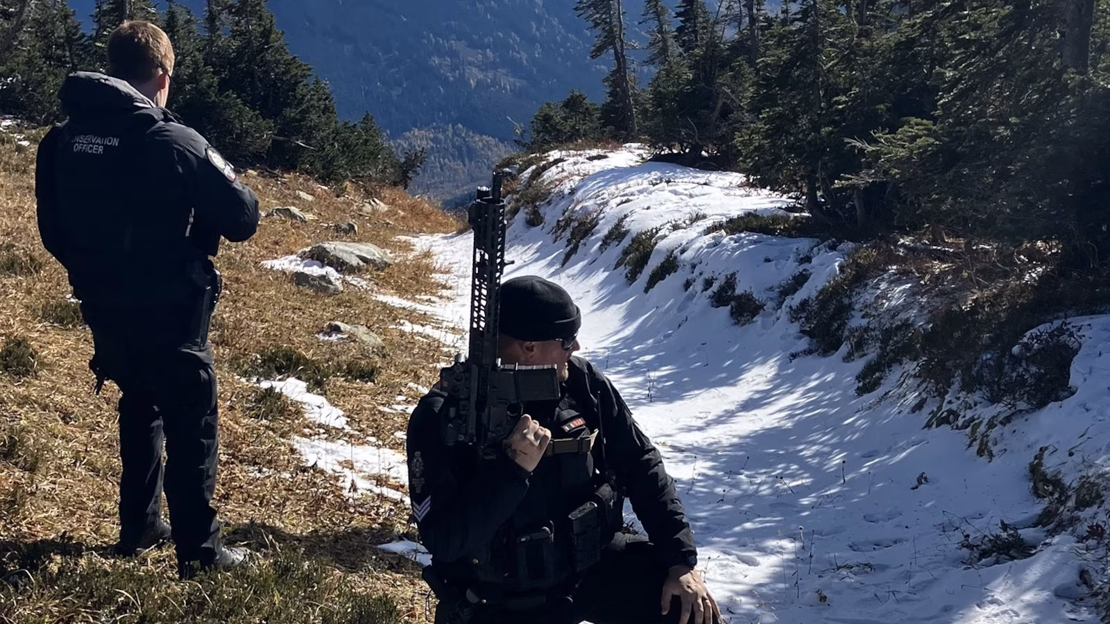 Grizzly Ayisi Ve Iki Cubu Ile Karsilasan Iki Dagci Hastaneye