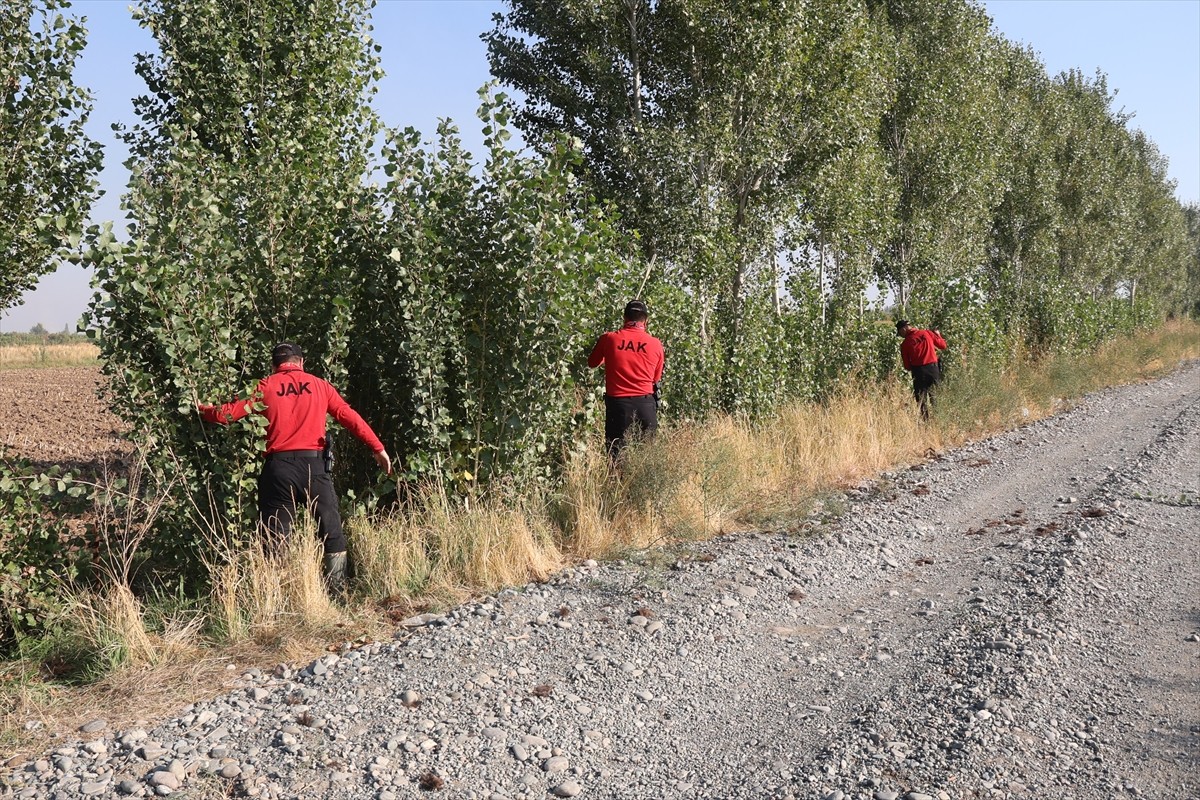 Kayıp Öğretmen