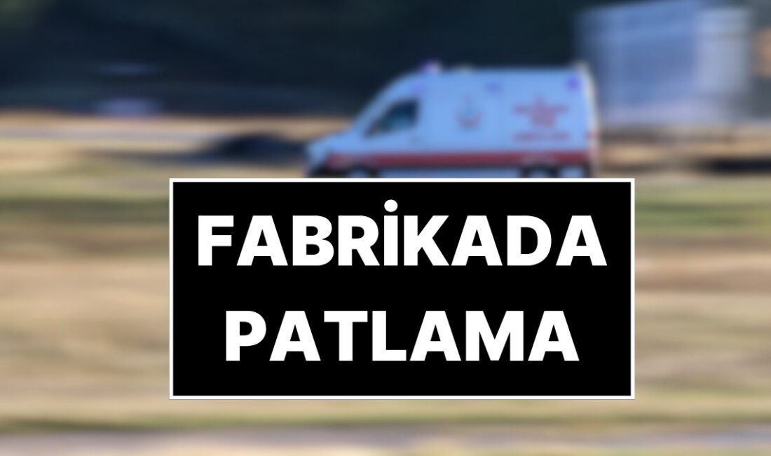 Dilovası’nda Petrokimya Fabrikasında Patlama: 2 İşçi Hayatını Kaybetti Kocaeli’nin Dilovası