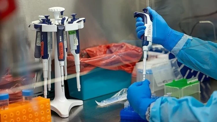 Gana’da M Çiçeği (Mpox) Vaka Sayısı 583’e Yükseldi Salgındaki Son