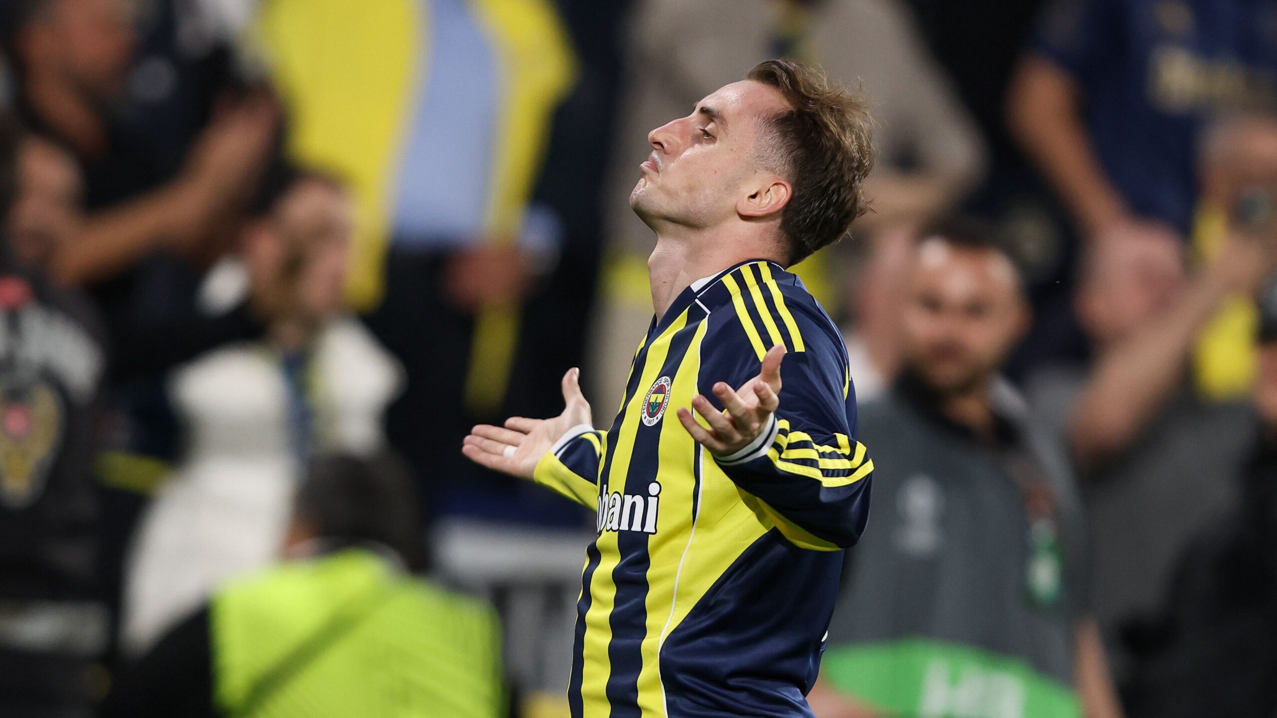 Fenerbahçe crest
