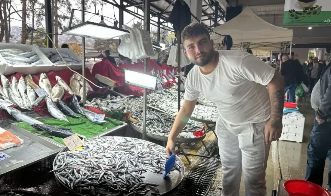 Gündem: İzmit Pazarında Balık Fiyatlarındaki Hareketlilik Flaş Gelişme: Balık Çeşitlerinde