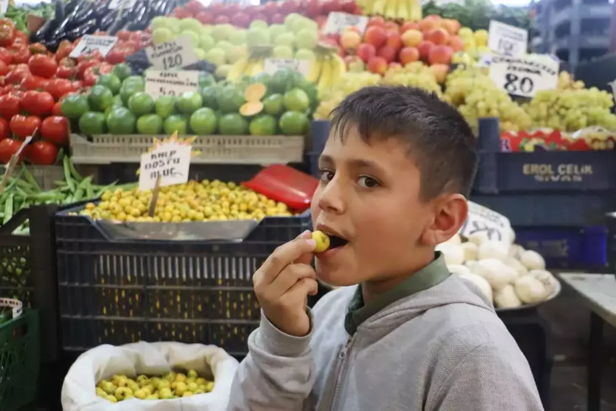 Son Dakika Kalp Dostu Sifa Kaynagi Tek Tek Toplaniyor Fiyatlar