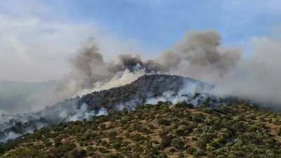 Gündem: Aydın’da Orman Yangını Son Dakika: Aydın’da Orman Yangını Çıktı