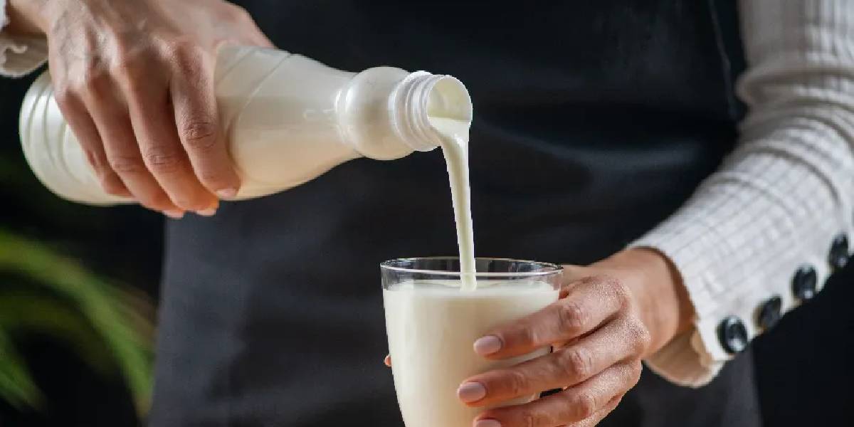 Kefir ve Bağırsak Sağlığı