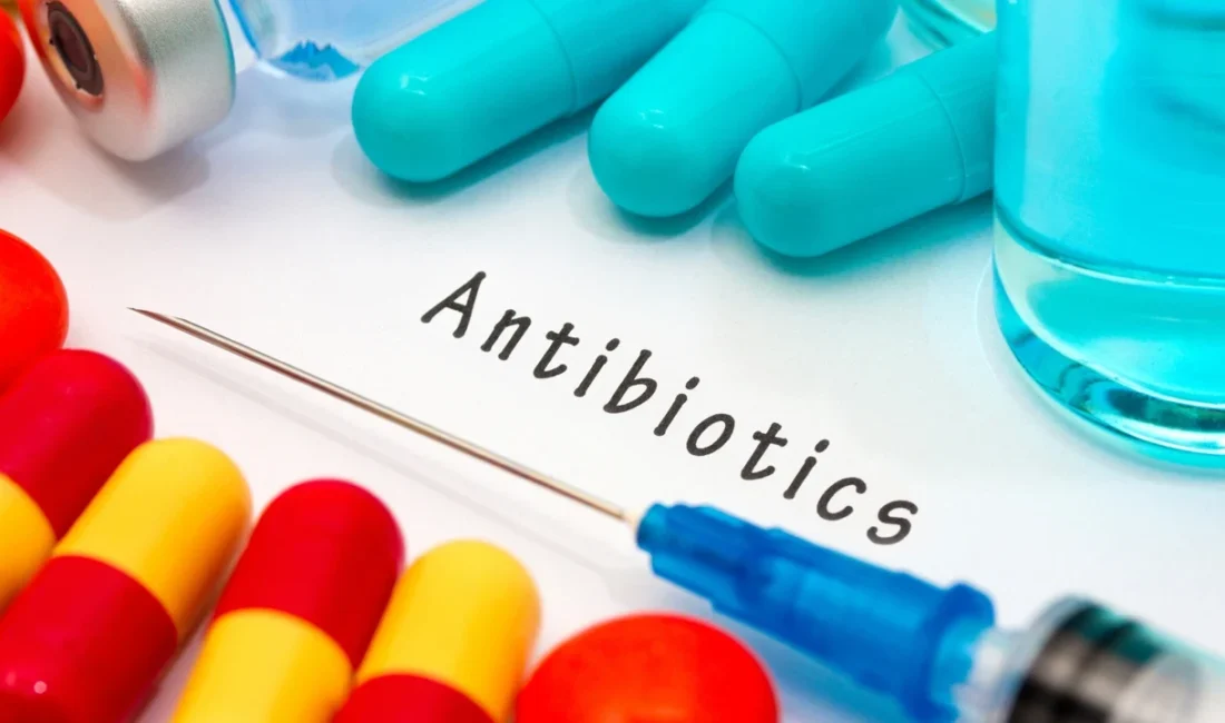 Yeni Antibiyotik Sınıfının İlk Üyesi: Pre-Metilenomisin C Laktonu Bilim İnsanlarından