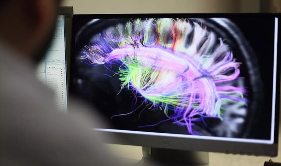 Beyin Gelişimi: İnsanlık Tarihinin Uzun Dönemlerini Kapsayan Yenilikçi Araştırma Bilim