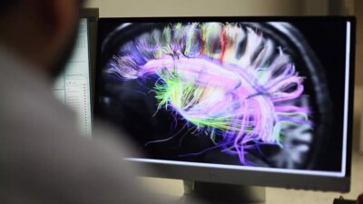 Beyin Gelişimi: İnsanlık Tarihinin Uzun Dönemlerini Kapsayan Yenilikçi Araştırma Bilim