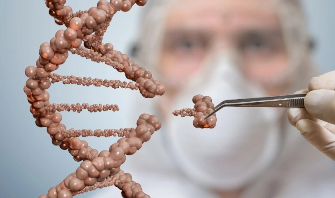 Genetik Sabırsızlık: Kalıtsal Davranışların Sağlık Üzerindeki Etkileri ABD’de Yapılan Araştırma