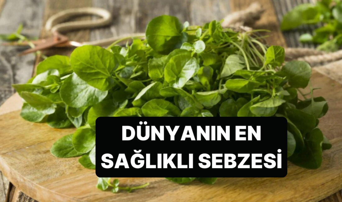 En Sağlıklı Besin: Yeni Araştırma Sonuçları Meyve ve Sebzelerin Sağlık