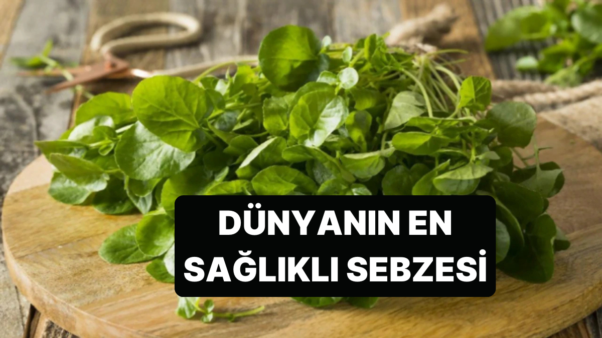 Bugün Sağlığınız İçin Acil: Su Teresi, Dünyanın En Besleyici Sebzesi! Bugun Sagliginiz Icin Acil Su Teresi Dunyanin En Besleyici Sebzesi