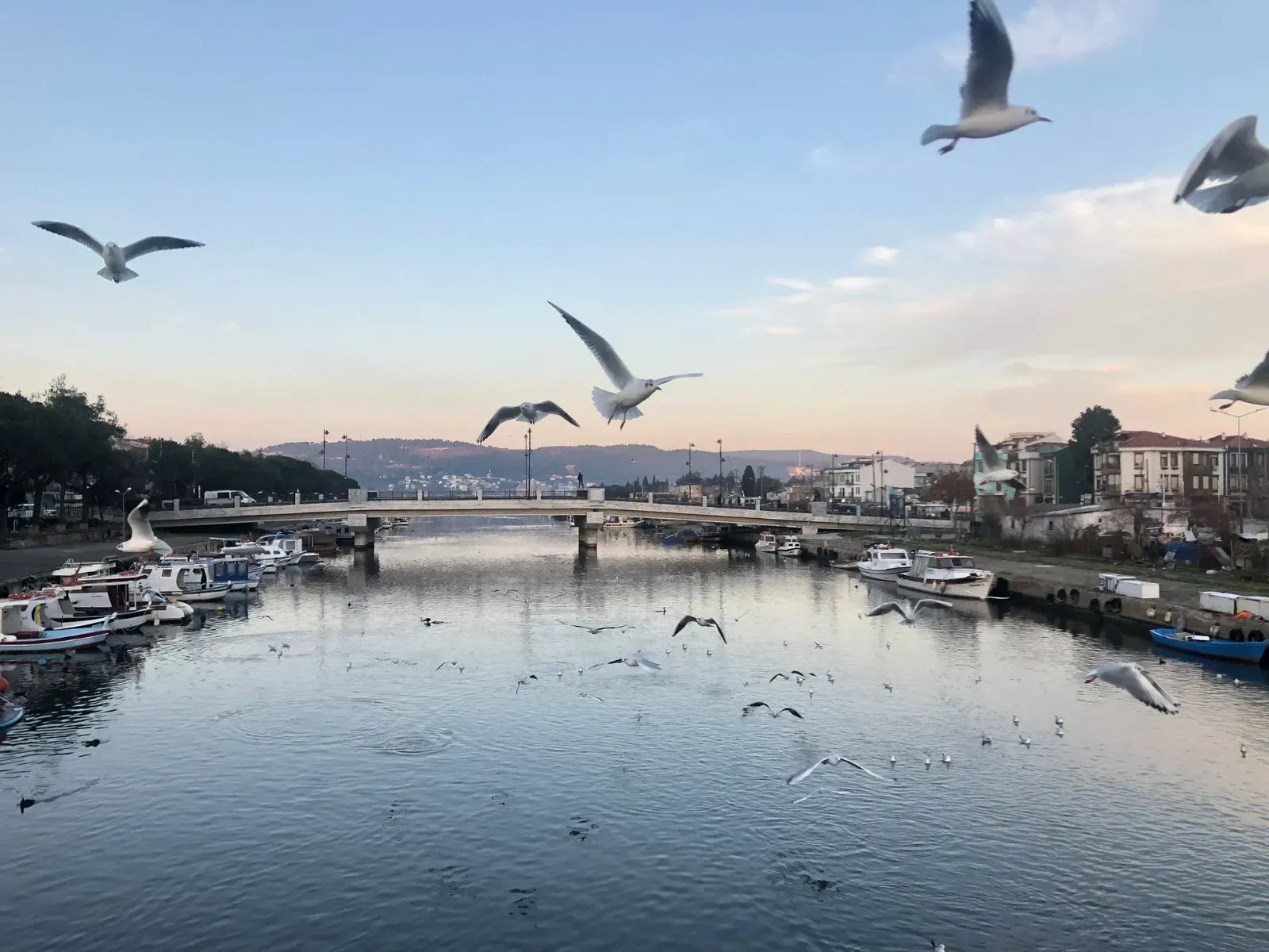 Canakkale Hava Durumu Bugun Icin Sicaklik Yagis ve Ruzgar Uyarisi.webp