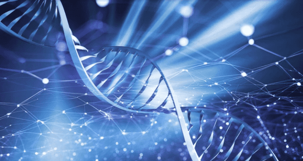 Eğitimle Ekonomi: Genetikle Gelecek, MEB'den Yeni Müfredat ve Sınavlar! Genetik Mühendisliği